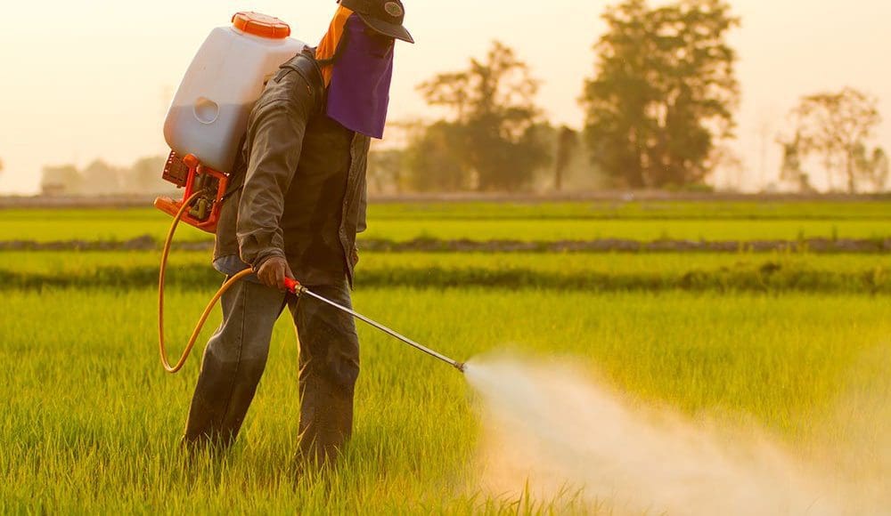 The Link Between Thyroid Disease & Pesticides | Wellness Clinic