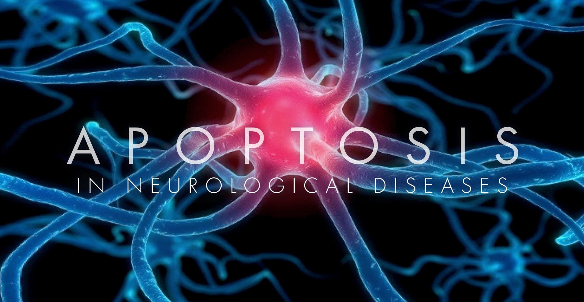 Apoptosis in Neurological Diseases | El Paso, TX Chiropractor