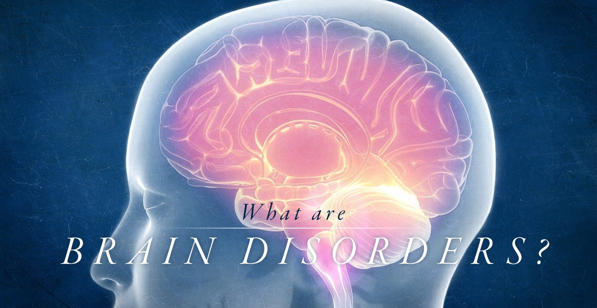 What are Brain Disorders? | El Paso, TX Chiropractor