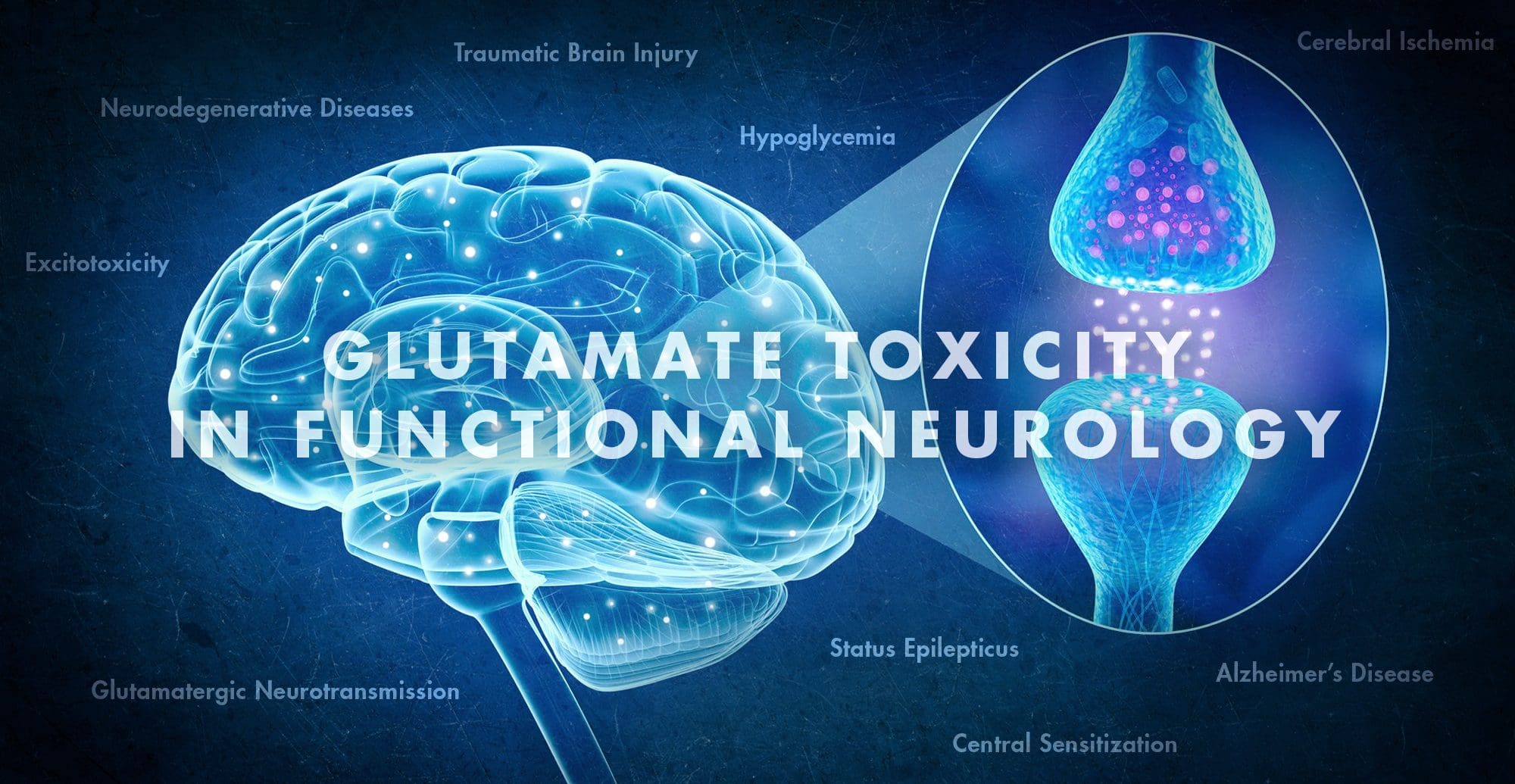 Glutamate Toxicity in Functional Neurology | El Paso, TX Chiropractor