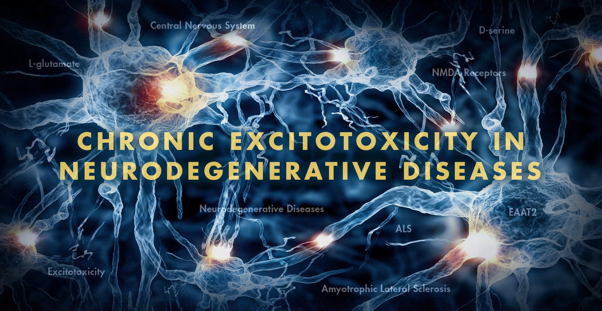 Neurología funcional: excitotoxicidad crónica en enfermedades neurodegenerativas Parte 2 | El Paso, TX Quiropráctico