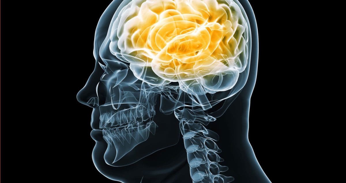 Neurología funcional: salud del cerebro y obesidad | Quiropráctico en El Paso, TX