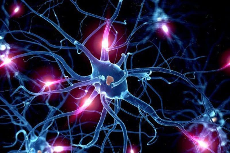 Neurología Funcional: Serotonina y Salud del Cerebro | El Paso, TX Quiropráctico