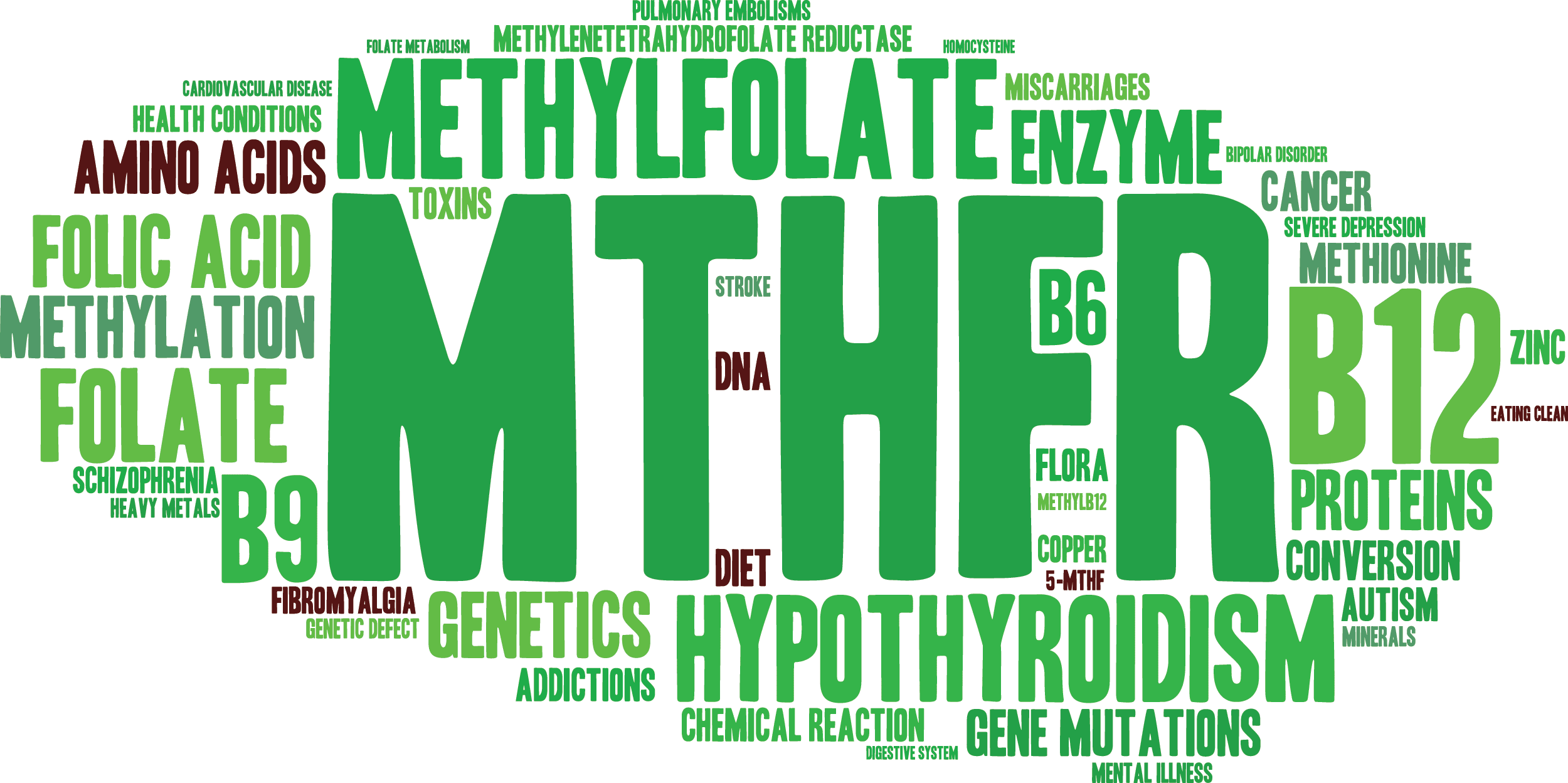 MTHFR Mutación Genética y Salud | El Paso, TX Quiropráctico