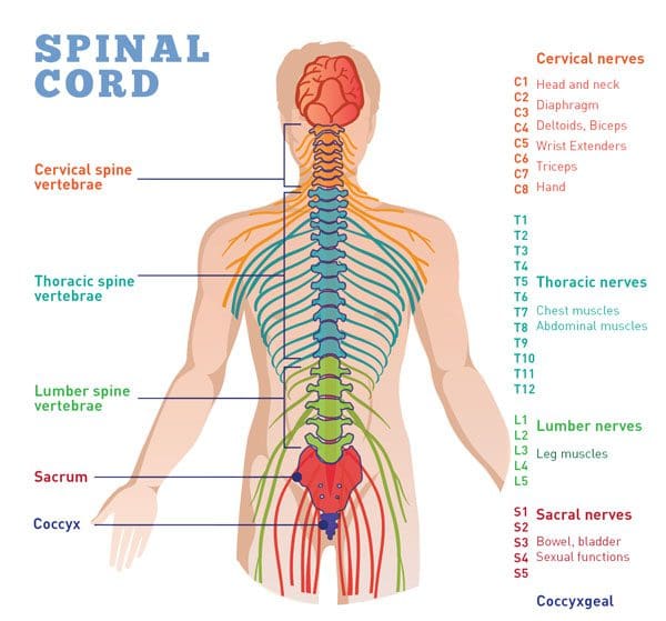 Chiropractic Adjustments For Vertigo Symptoms 