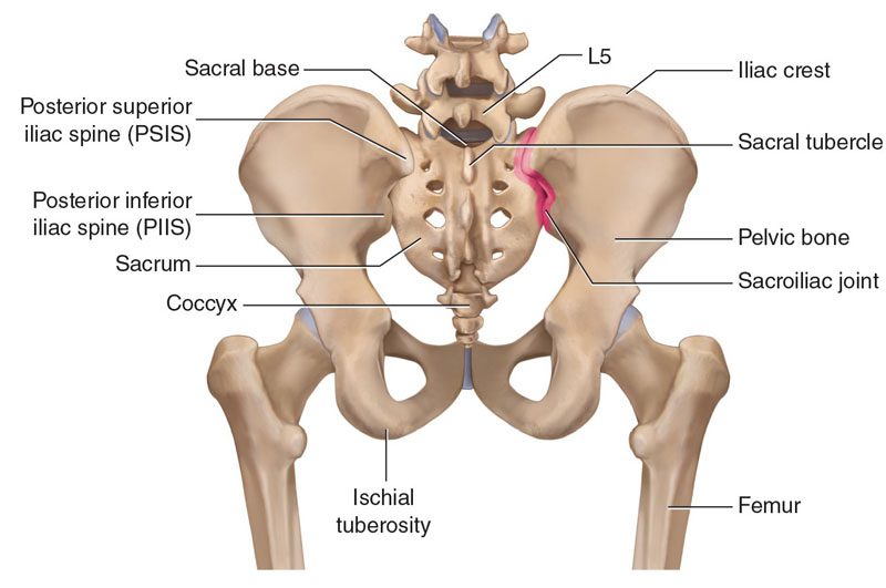 Ngo-11860 Vista Del Sol, uSte. I-128 Pelvic Pain kunye noNcedo lweChiropractic