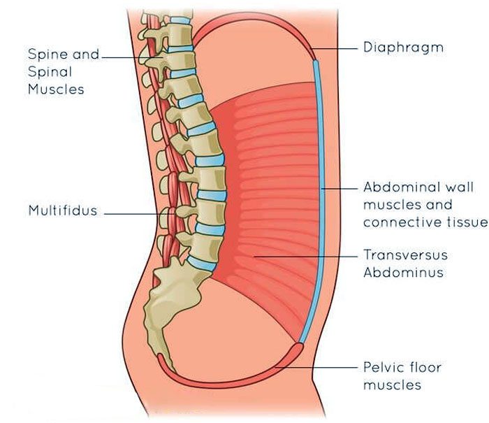 11860 Vista Del Sol, Ste. 128 Pelvic Pain and Chiropractic Relief