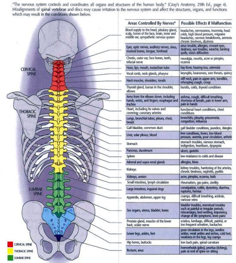 11860 Vista Del Sol, Ste. Awọn atunṣe igbesi aye 128 ati awọn ilọsiwaju Chiropractic