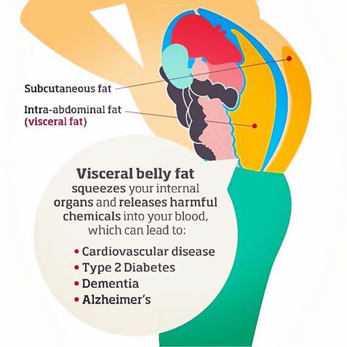 Body Fat Distribution: Subcutaneous vs. Visceral Fat, Fort Collins Back  Pain