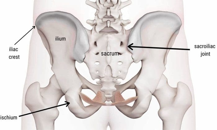 Inclinación pélvica anterior Postura hacia abajo Dolor de cadera y espalda