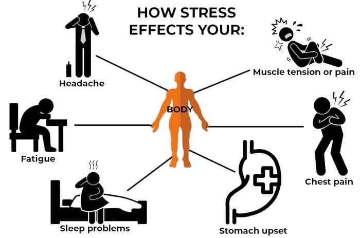 Stress affects your body