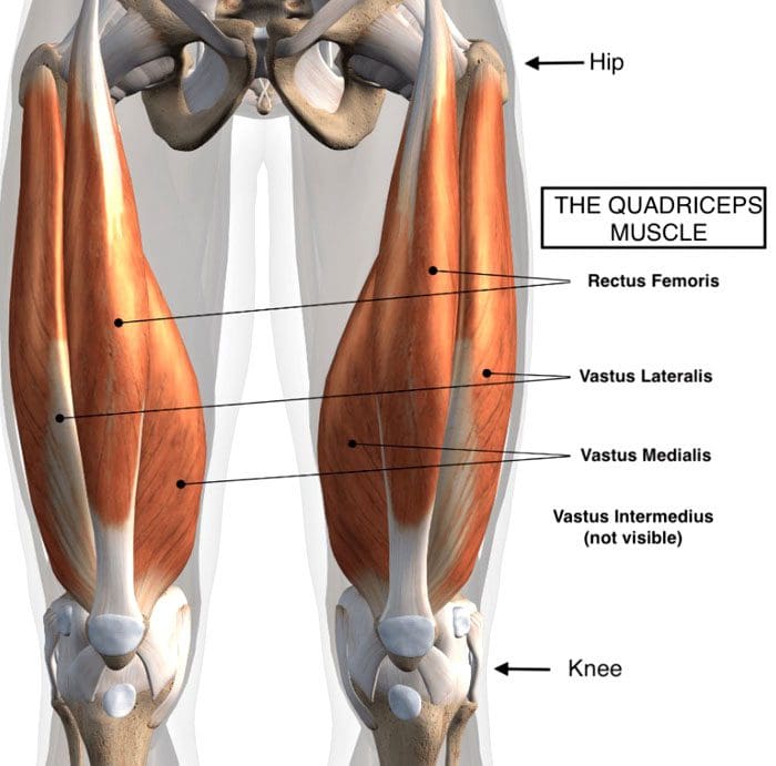 Understanding Quadriceps Tightness and Back Alignment Issues