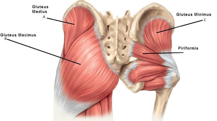 Muscoli glutei stretti, doloranti e dolorosi e rilascio chiropratico