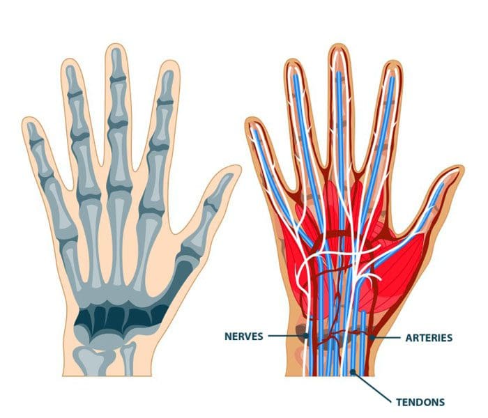 Le mani: lesioni, sintomi, cause, cure mediche