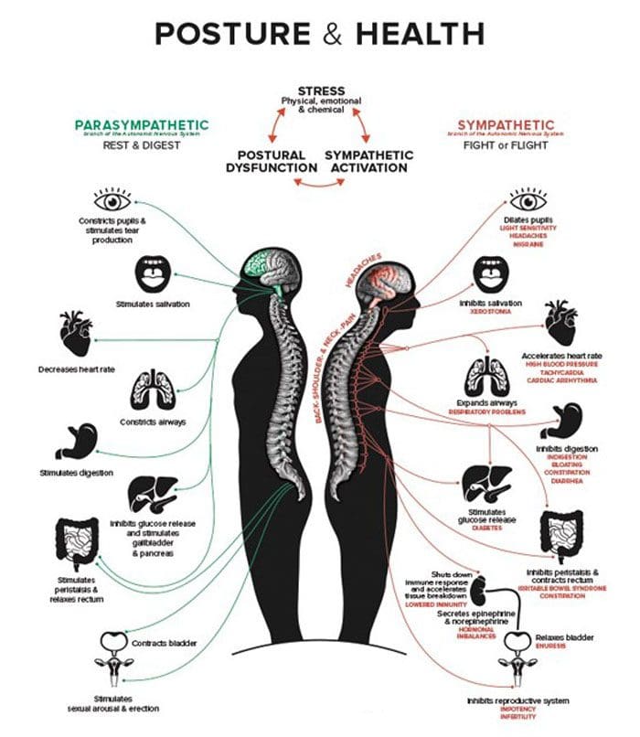 Posture Exercises To Do At Work