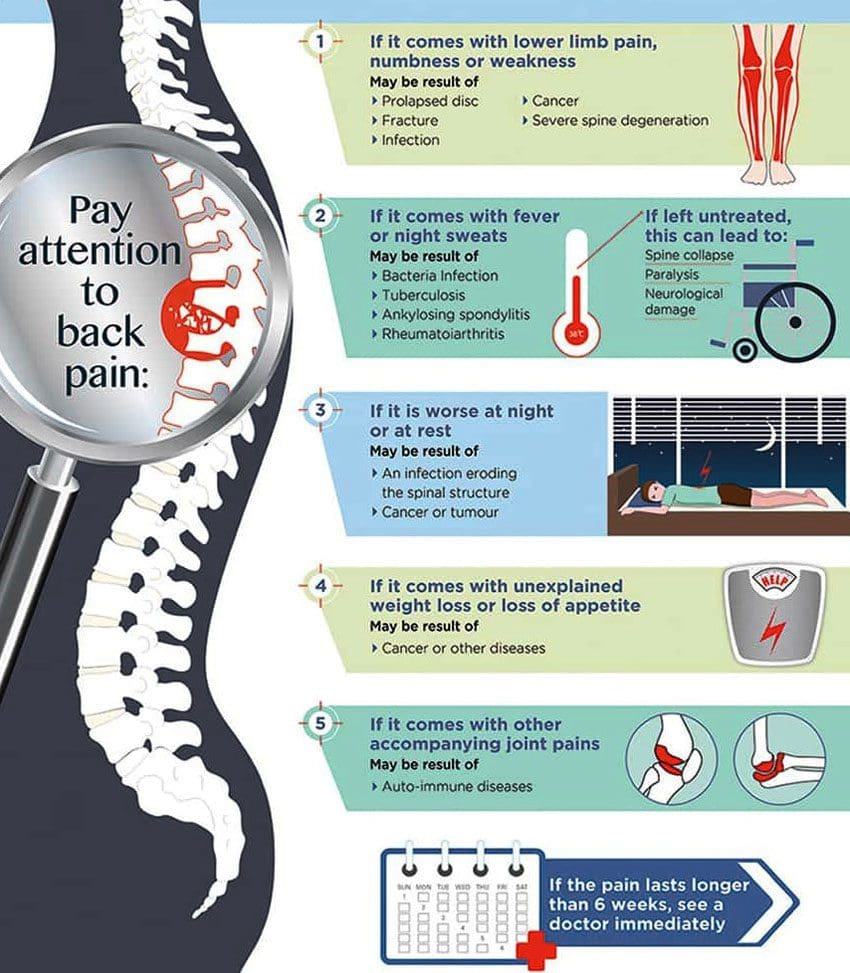 Fever and Back Pain