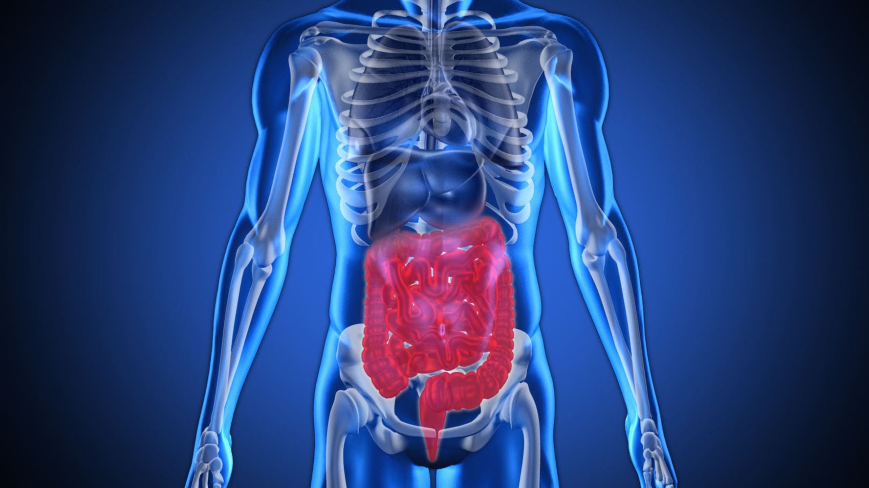 An Overview of Natural Ways to Cleanse the Colon