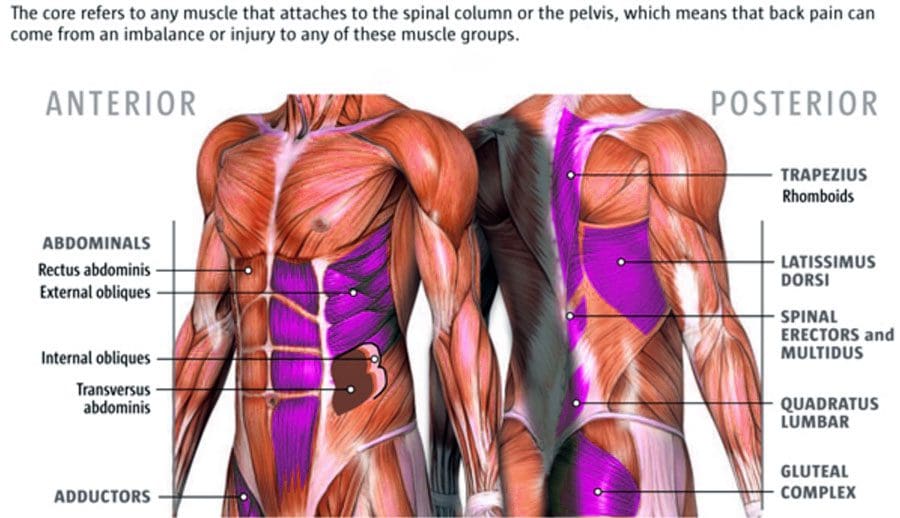 Sports Strength, Balance, Core Decompression Clinic