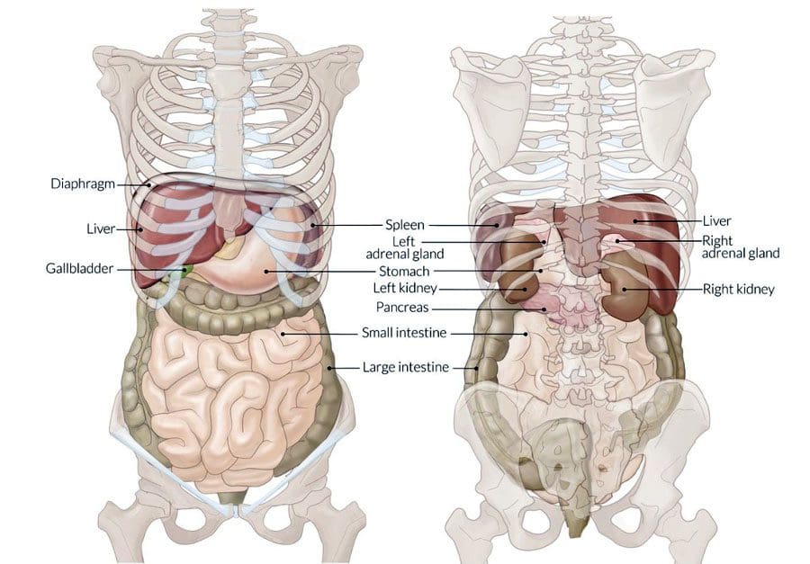 Problemas de estómago con hernia discal