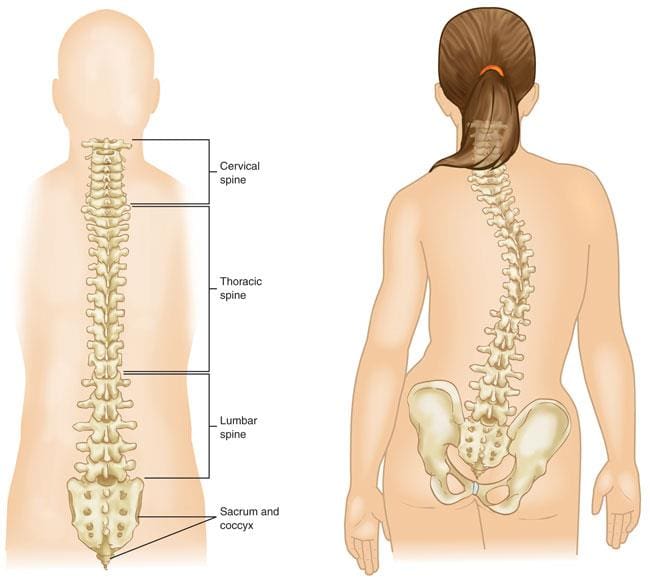 Degenerative Disc Disease (DDD) Stretches & Exercises - Ask Doctor Jo 