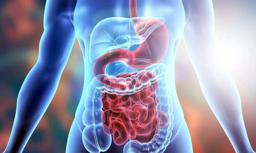 Viscerosomatic Gut Bloating