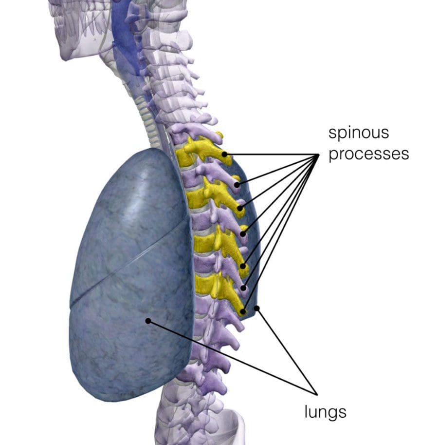 Scarsa qualità di respirazione è migliurà chiropraviu