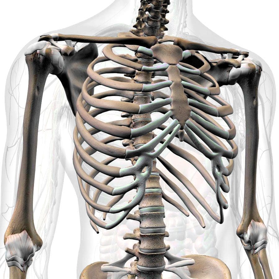 Unhealthy Posture - Is Your Rib Cage Compressing Your Pelvis? 