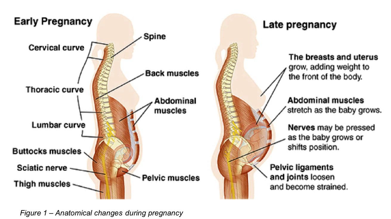 Chiropratico della sciatica in gravidanza