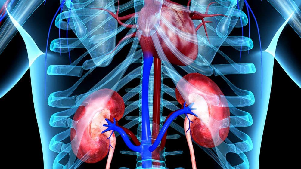 Detox Kidney: Ile-iwosan Oogun Iṣẹ iṣe Chiropractic