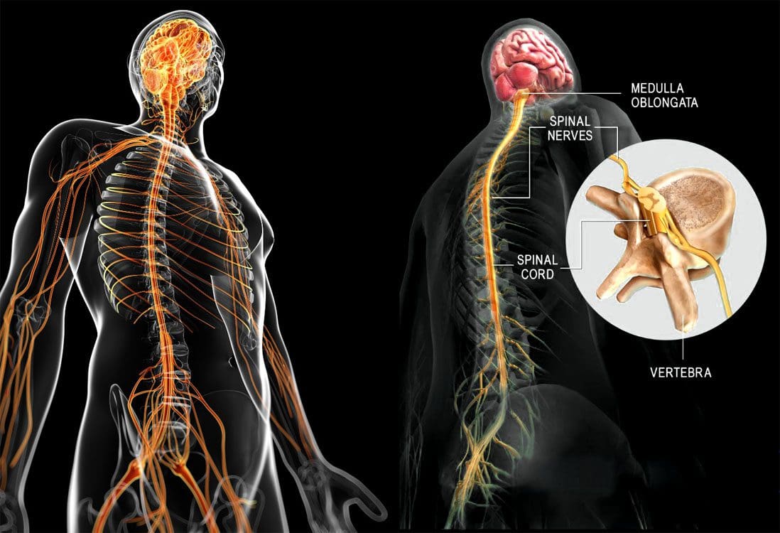 Gabapentin Medication For Sciatica: Injury Medical Chiropractic 