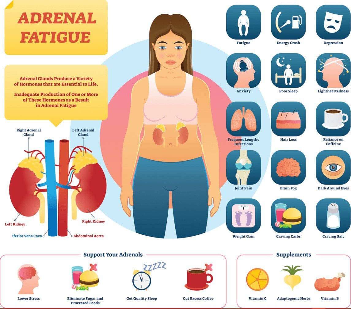 Nutrition Support For Adrenal Fatigue: EP Functional Chiropractic
