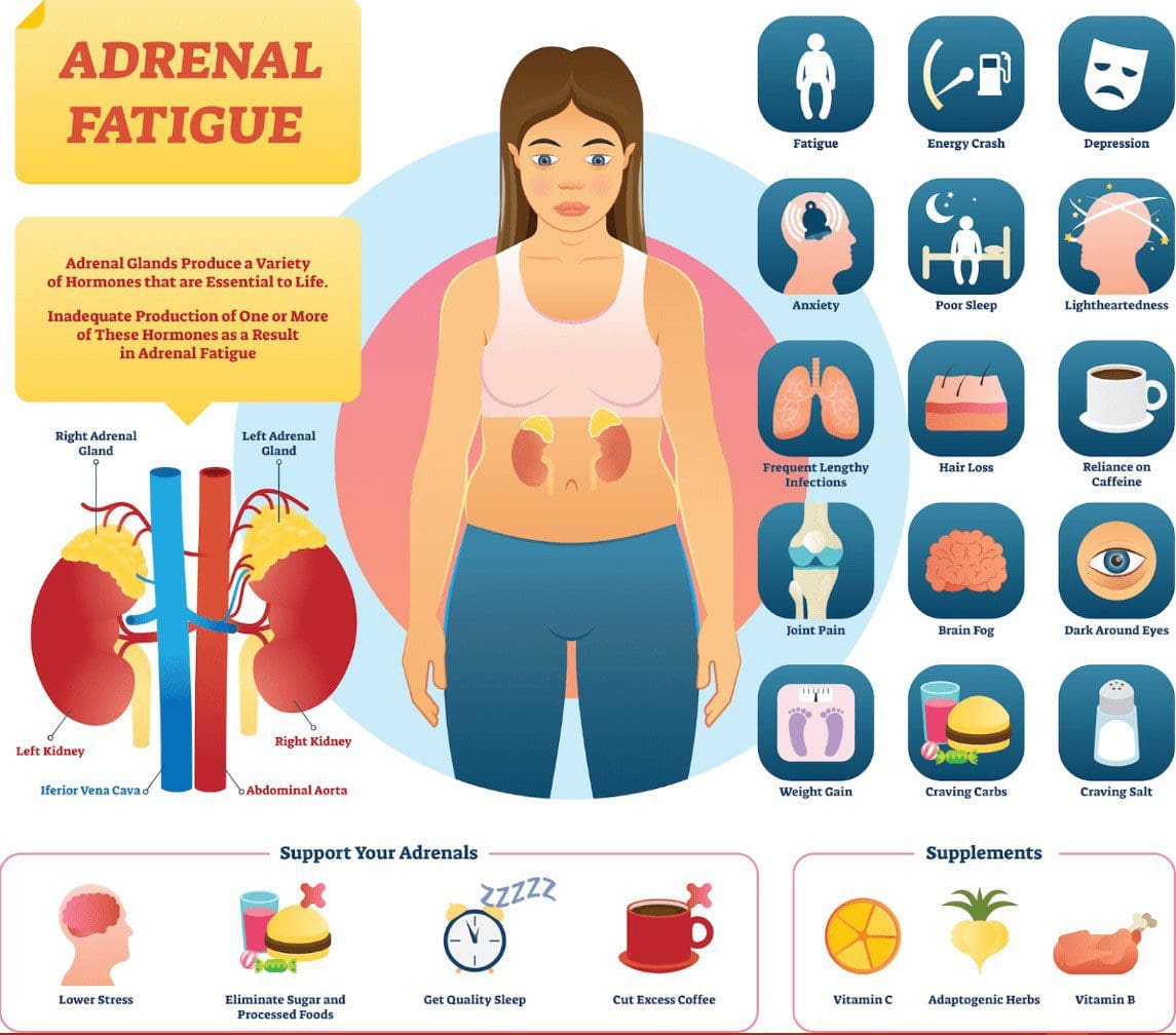 Piştgiriya Xwarinê Ji Bo Westibûna Adrenal: Chiropractic Fonksiyonel a EP