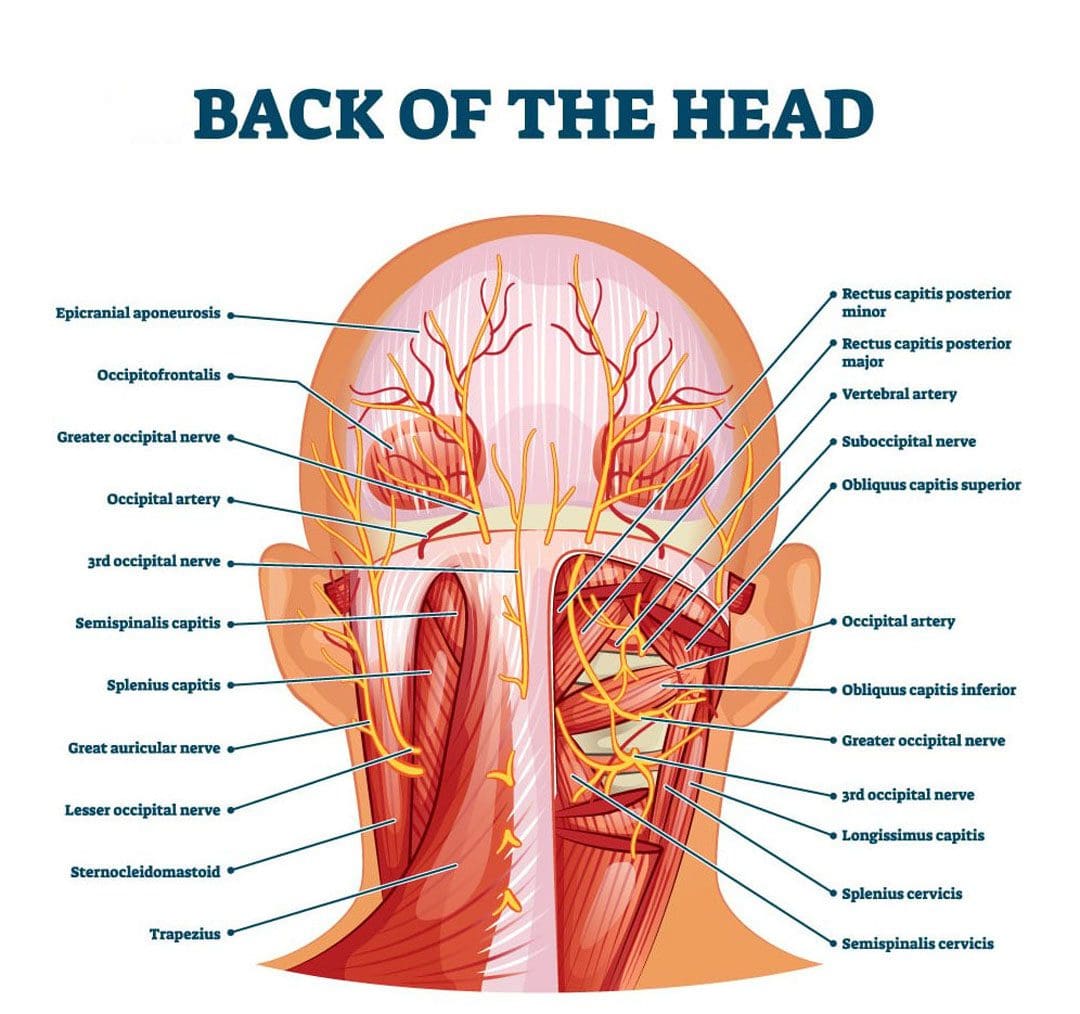 A Guide to Understanding Whiplash Nerve Injury Symptoms