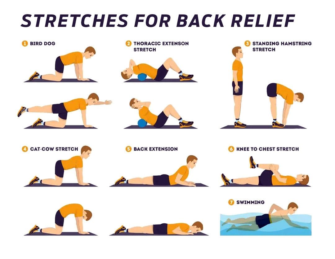 Improve Your Mobility & Balance With Regular Stretching