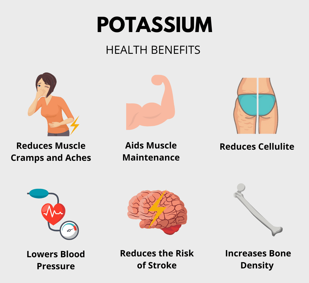 Why is potassium essential for the human body?