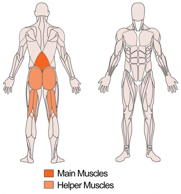 How Chiropractic Can Help Patellofemoral Tracking Syndrome