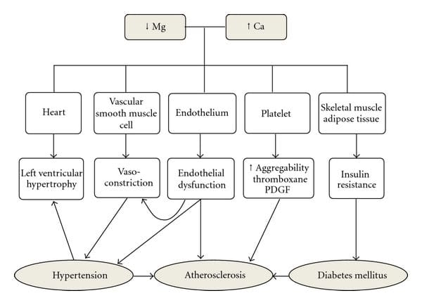 Magnesium for blood deals pressure