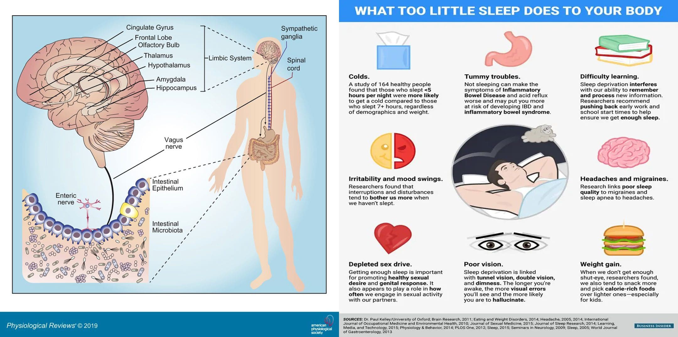 Sleep Affects Gut Health: EP's Functional Chiropractic Clinic