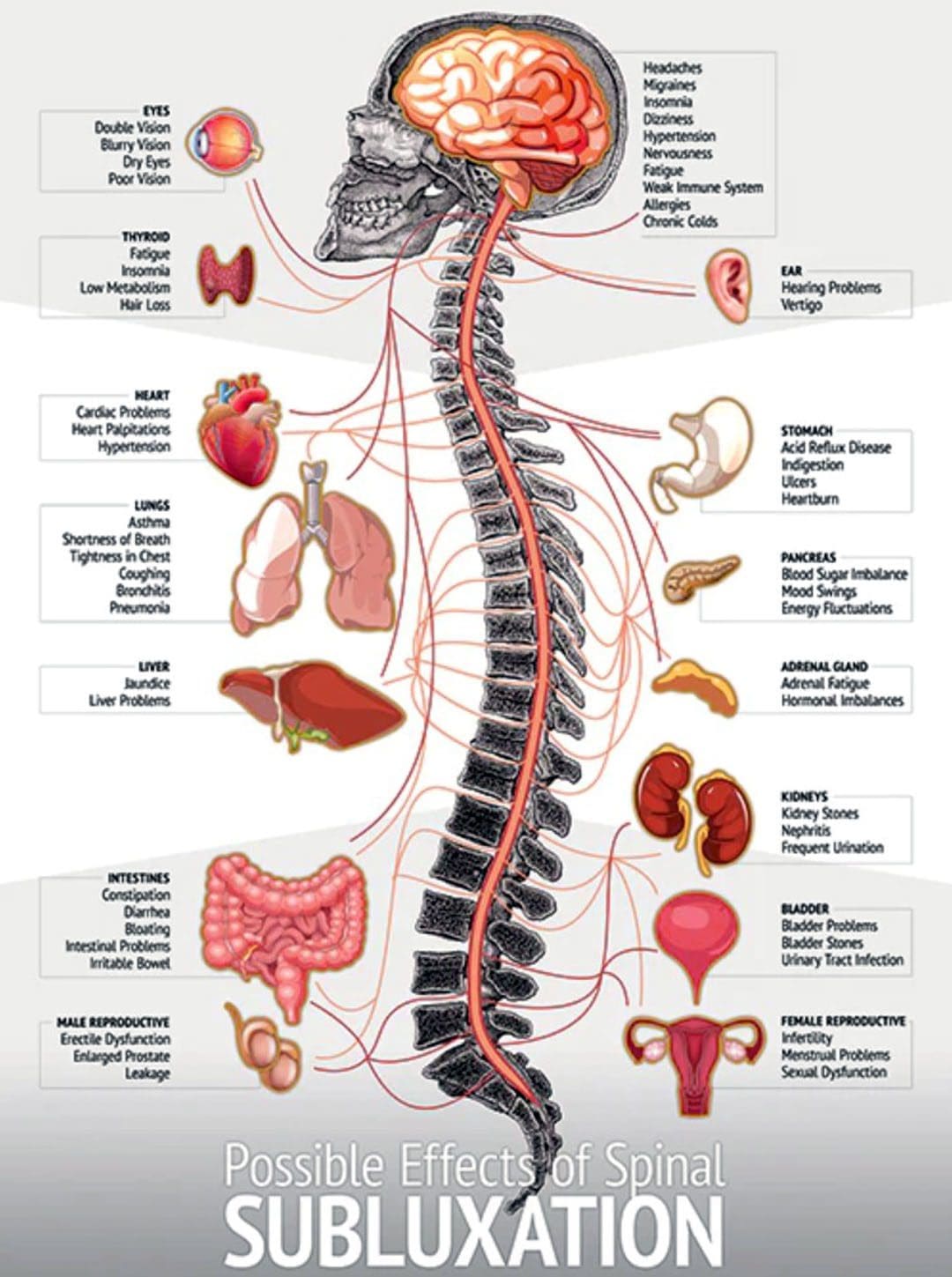 Ukungahambi kakuhle komzimba kwiingxaki zokugaya ukutya: I-EP Chiropractic Clinic