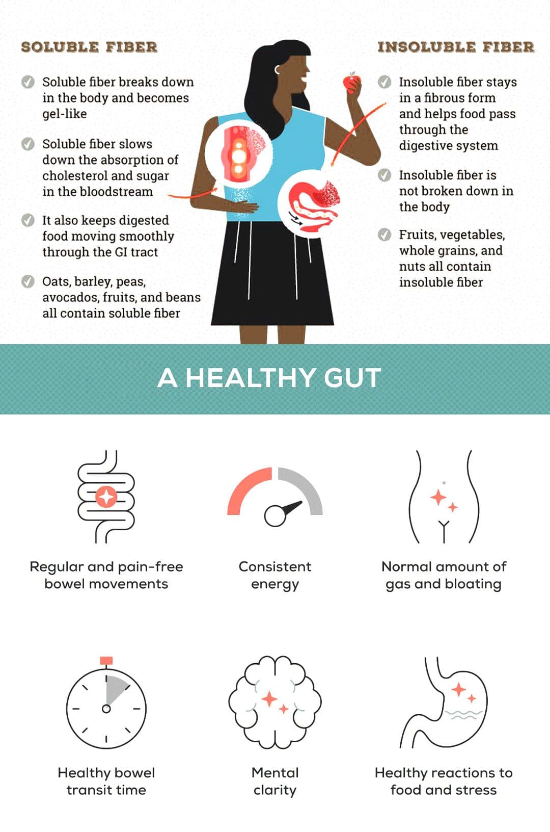 Fiber and Gut Health: EP's Chiropractic Functional Team