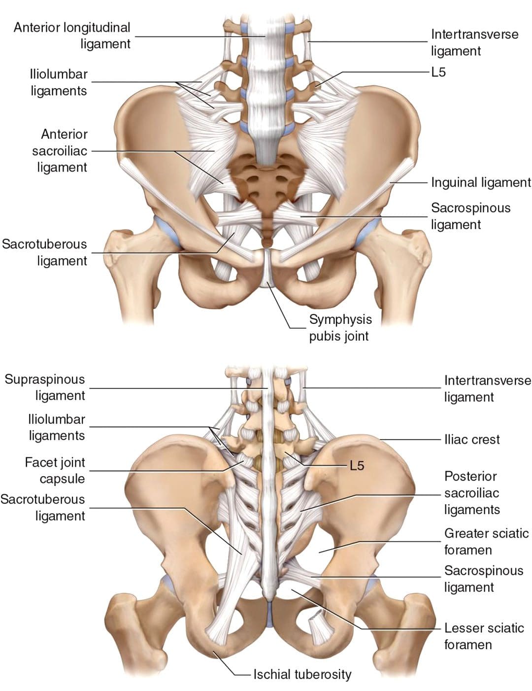 Sacroiliac Sprain: Tim Spesialis Cedera Kiropraktik EP