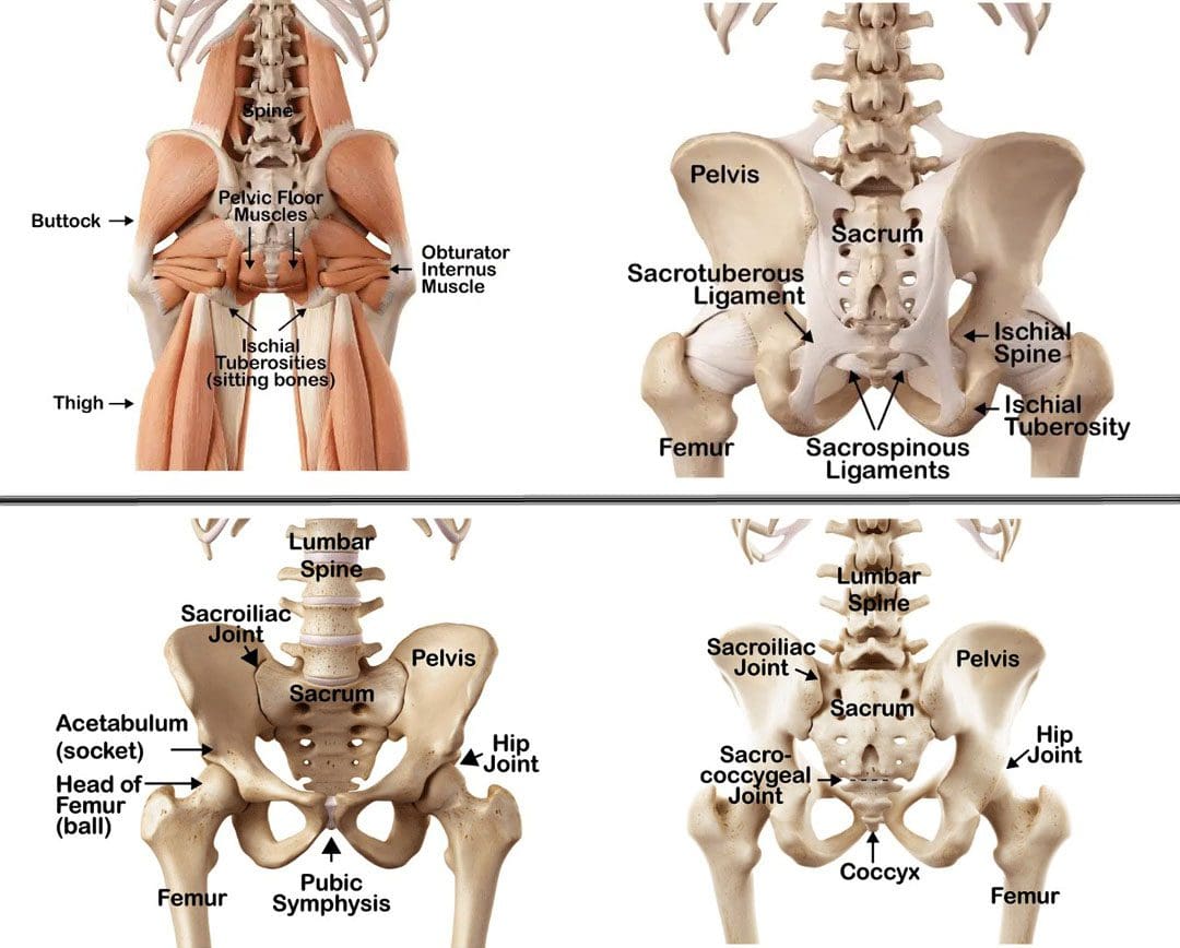 Vehicle Crash Hofteskade: EP Chiropractic Rehabilitation Team