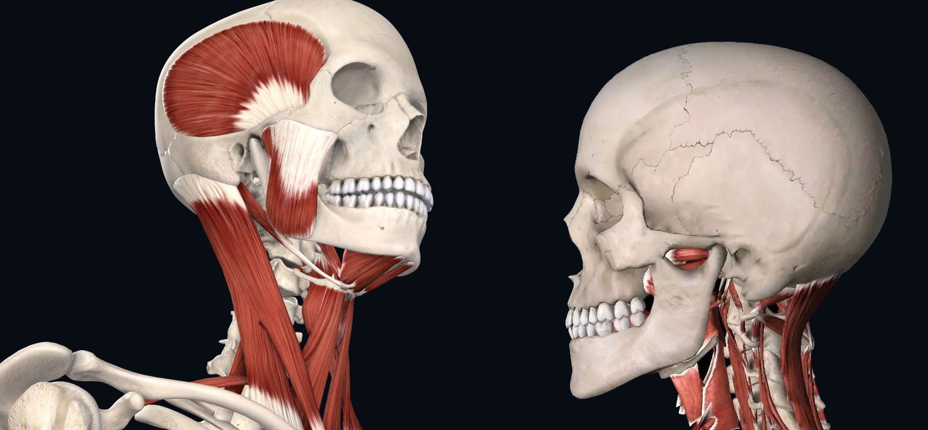 Bi Nexweşiya Hevbendiya Temporomandibular re Çi Nekirin