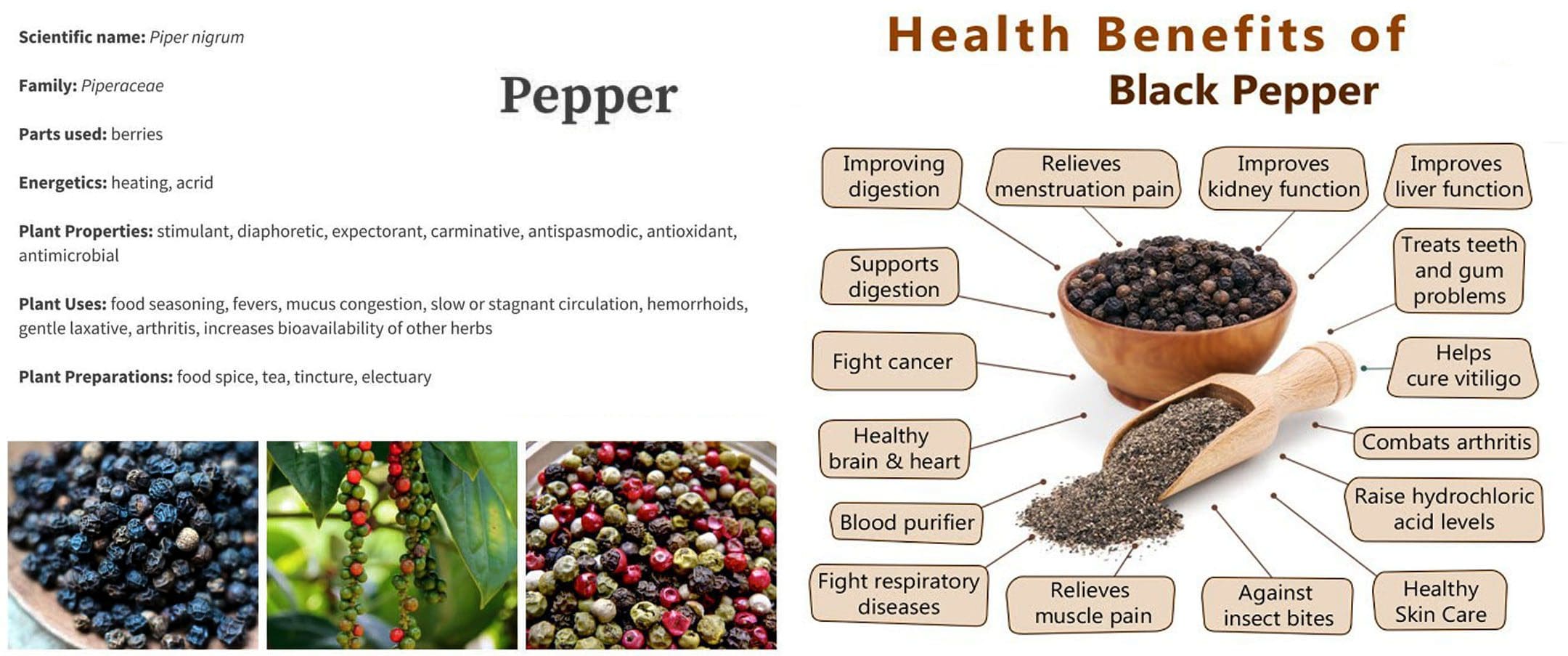 Black Pepper Health Benefits