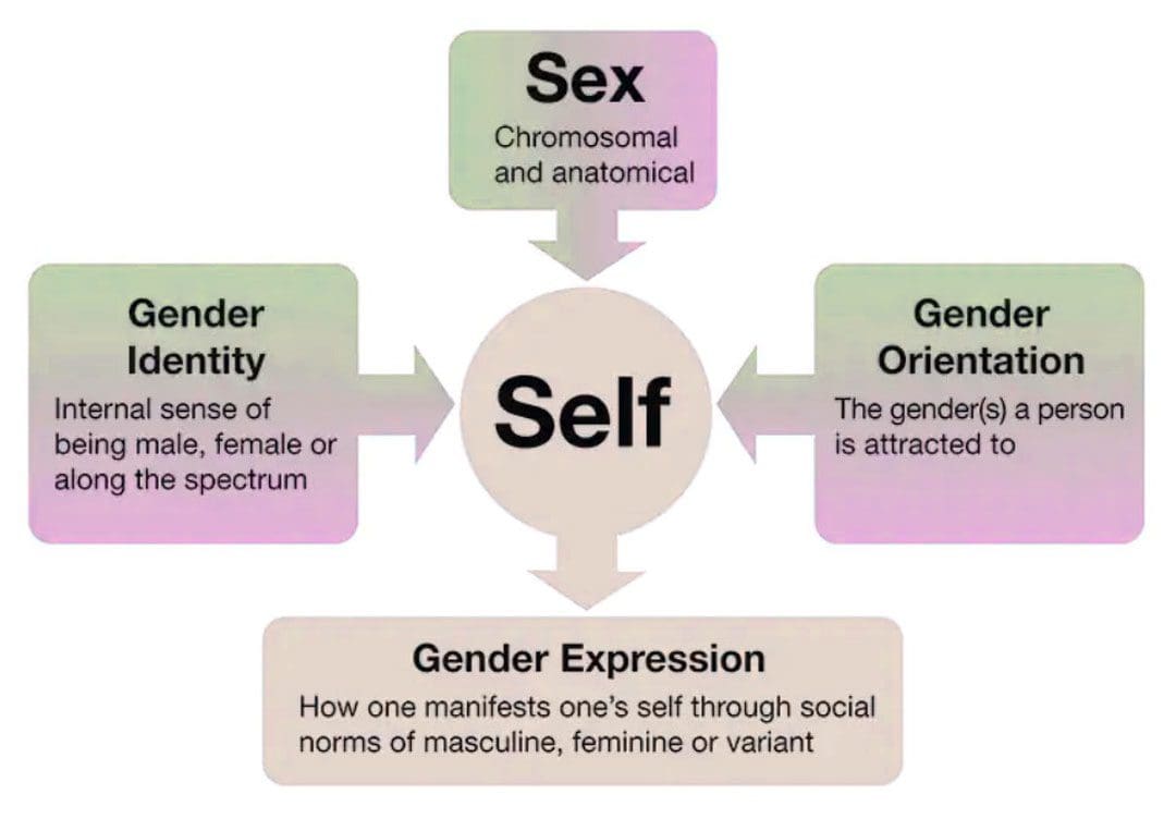 Gender Transitioning: Expressing and Affirming Gender Identity