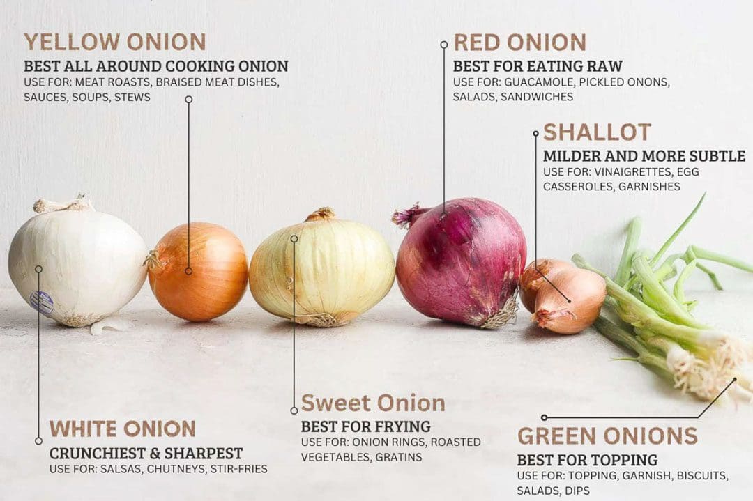 The Nutritional Benefits of Onions: An In-Depth Guide