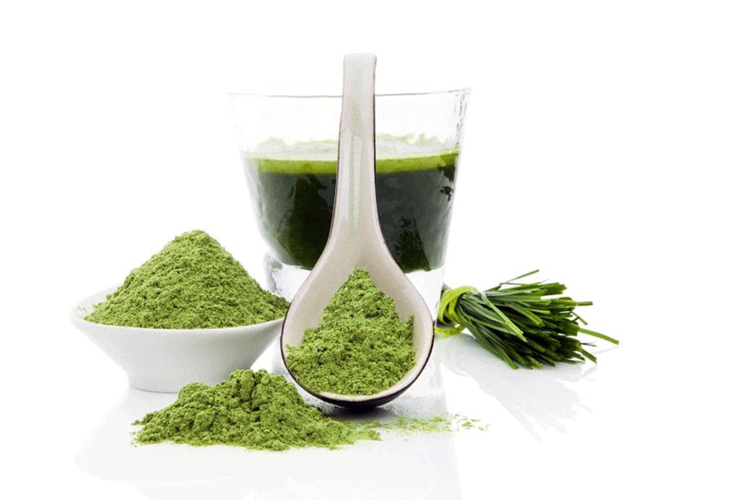 Exploring the Benefits of Green Powder Supplements