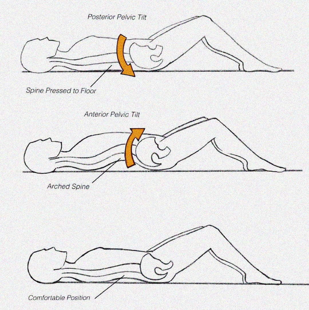 Mastering Pilates: The Importance of a Neutral Spine