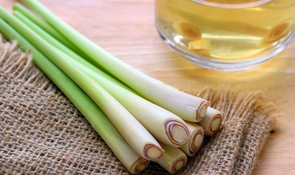 The Amazing Benefits of Lemongrass for Cooking and Health