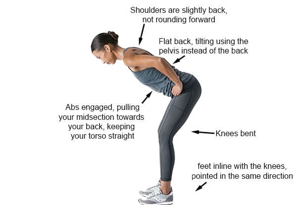 Mastering The Hip Hinge For A Stronger Back Chiropractic Scientists Mastering The Hip Hinge For A Stronger Back Chiropractic Scientists